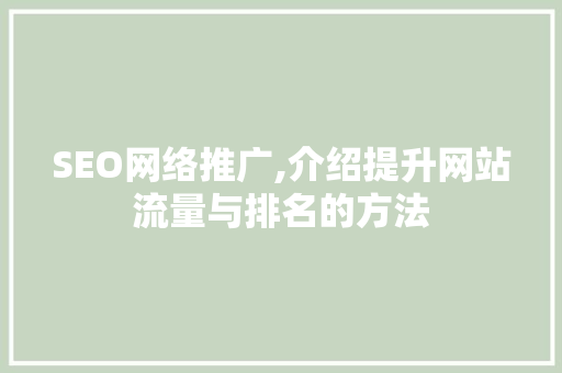 SEO网络推广,介绍提升网站流量与排名的方法