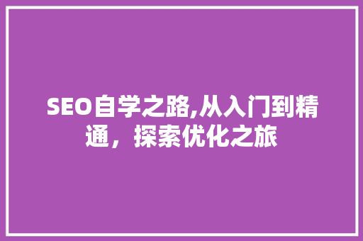 SEO自学之路,从入门到精通，探索优化之旅