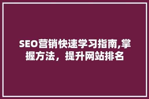 SEO营销快速学习指南,掌握方法，提升网站排名