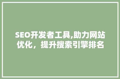 SEO开发者工具,助力网站优化，提升搜索引擎排名  第1张