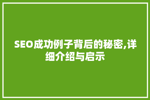 SEO成功例子背后的秘密,详细介绍与启示  第1张