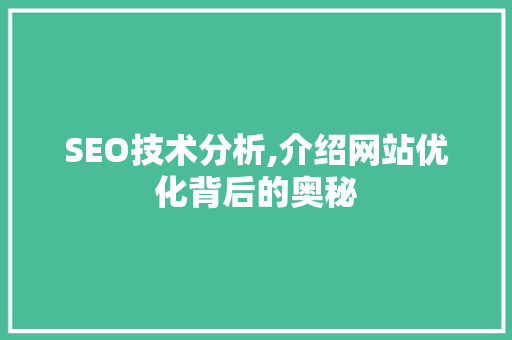 SEO技术分析,介绍网站优化背后的奥秘